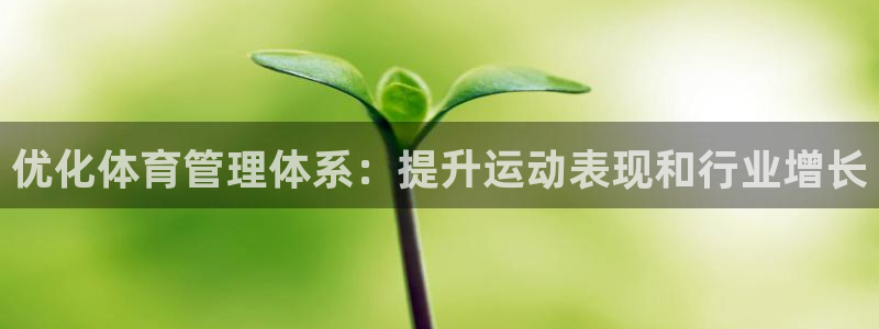 必一体育旧版：优化体