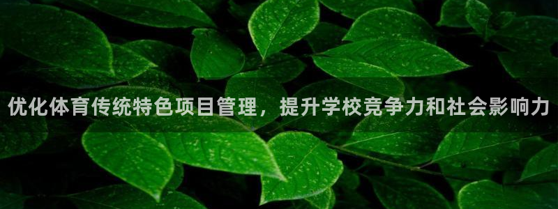 Bsport体育必一