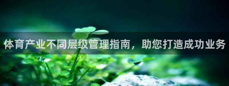 必一体育app官方下