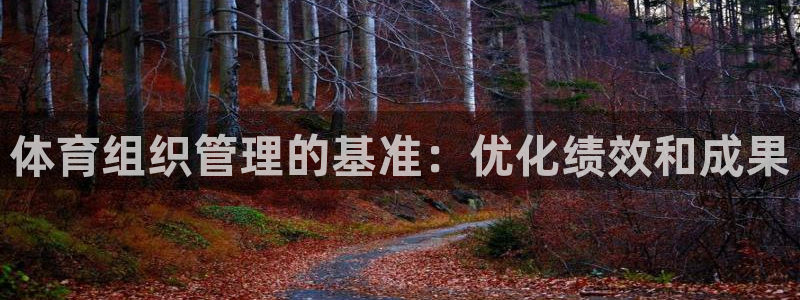 必一运动：体育组织管