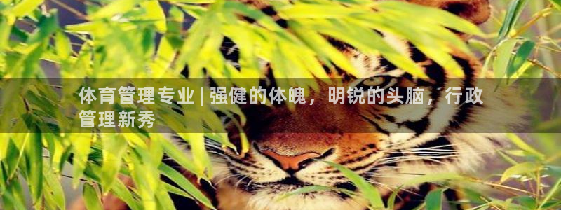 必一体育下载意思：体
