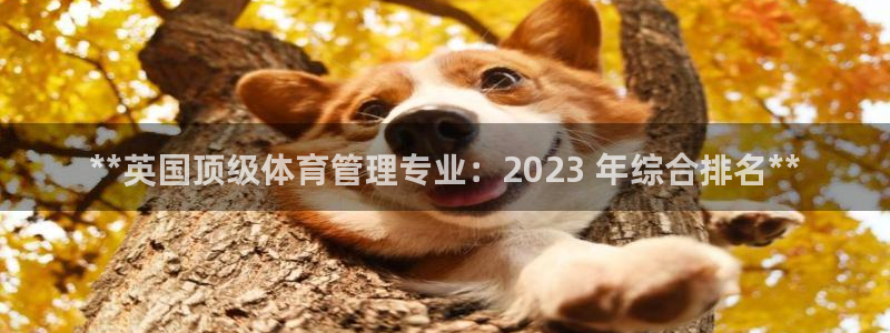 必一体育网页登录版官