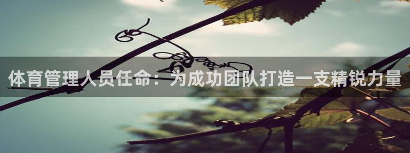 必一体育bsport