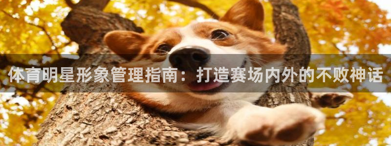必一体育在线玩：体育