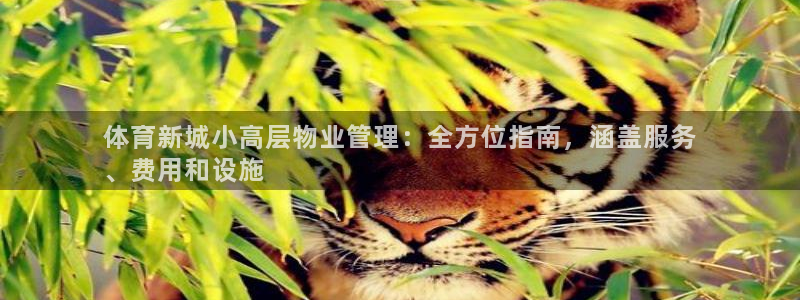 必一体育下载app：