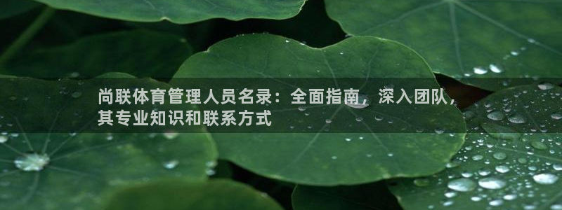 必一体育下载义：尚联