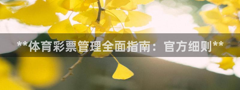 必一运动 b 体育素描版