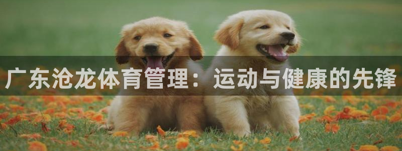 必一体育app下载最