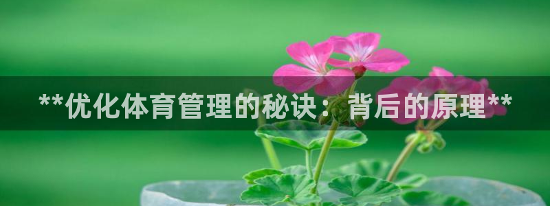 必一体育APP下载安