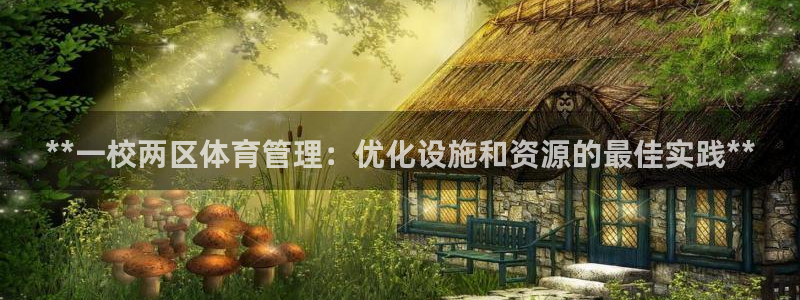 必一体育：**一校两