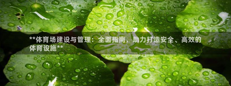 必一运动官网登录入口