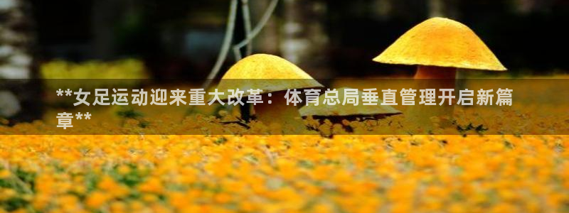 必一体育是啥：**女