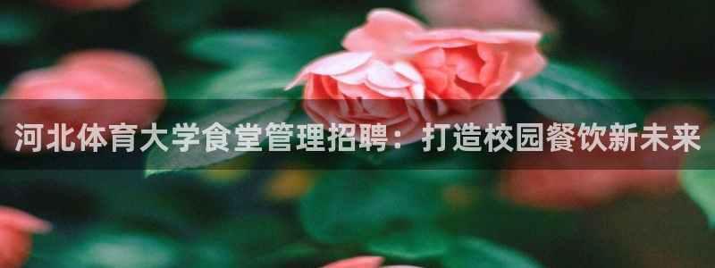 必一运动·(b-sp