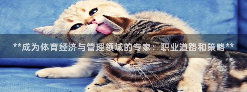必一体育官网入口：*