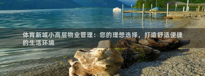 必一体育app官方网