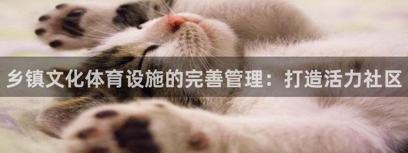 必一体育app官方下