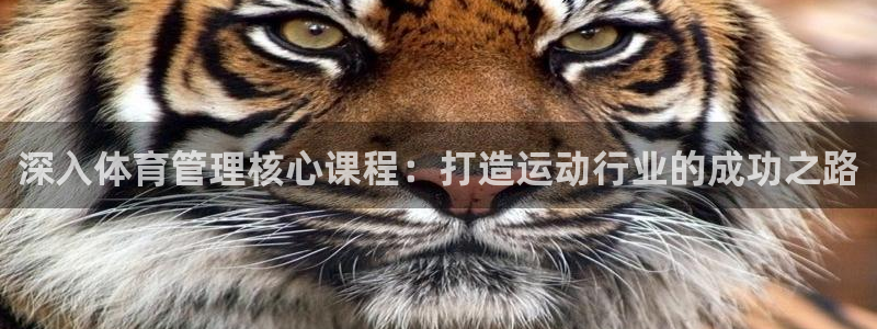 必一运动 b 体育素