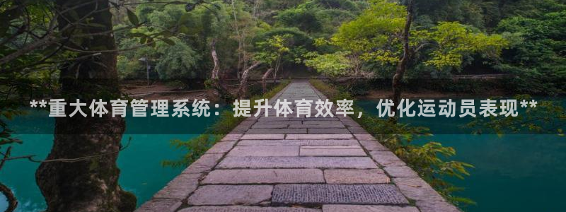 必一体育bsport