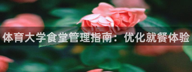 必一运动官网装机吧：