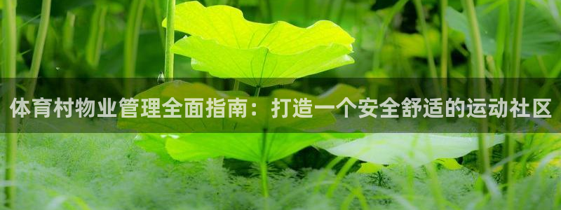 必一体育运动app：