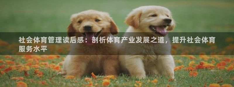 必一运动·(b-sp