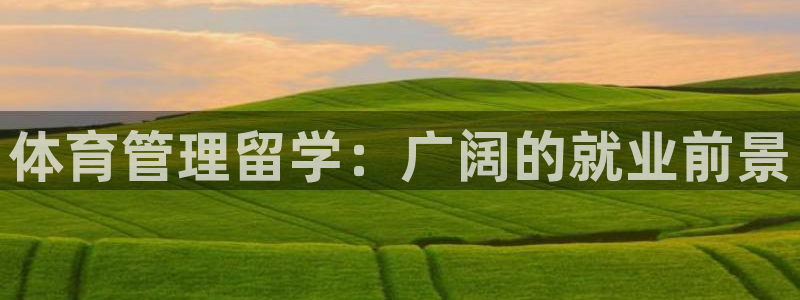 必一体育sport官