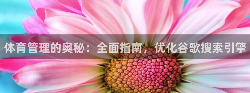 必一体育sport装