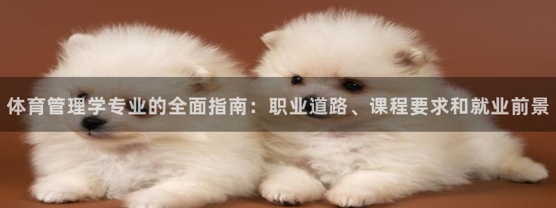 必一体育app官方网