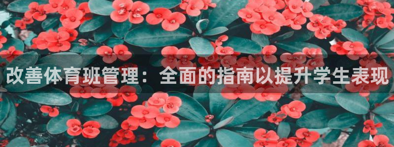 必一体育在线登录：改
