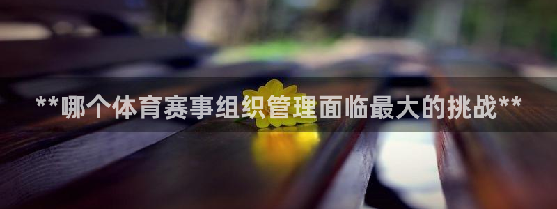 必一体育流水线是什么