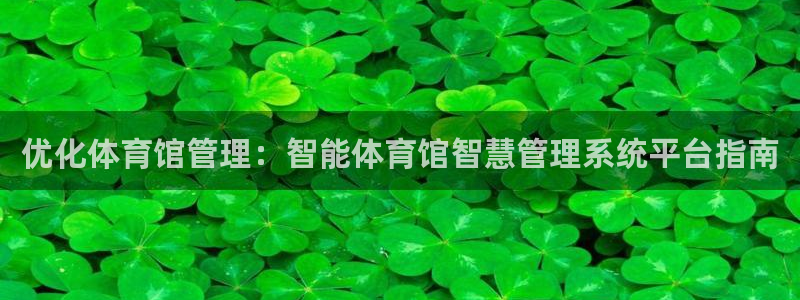 必一体育网页版登录：
