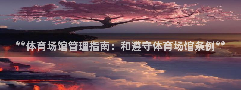 b体育官网下载入口a