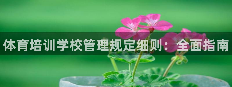 必一体育app官方下