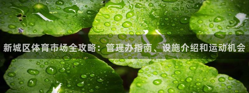 必一体育流水线是什么
