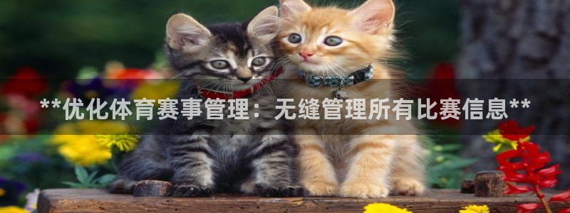 必一运动·(B-Sp