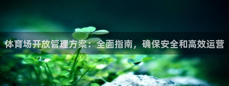 必十二和必一的副作用