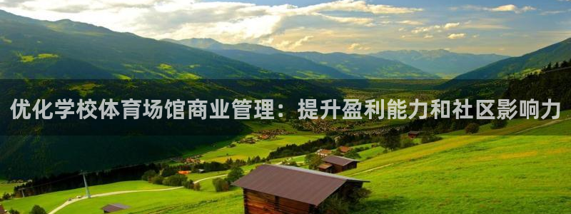 必一体育手机下载：优