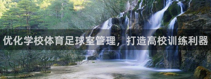 必一体育没了：优化学