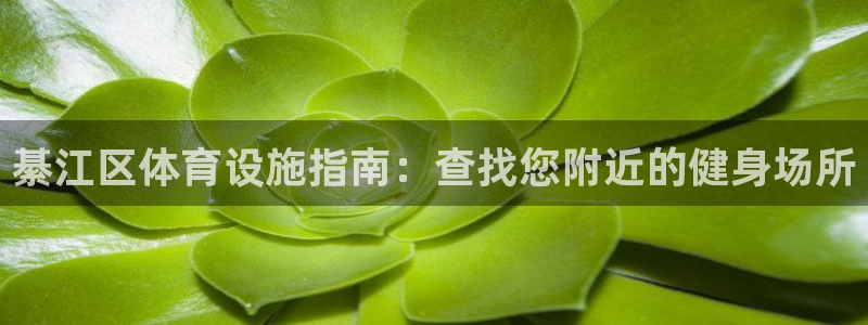 必一体育app官方下