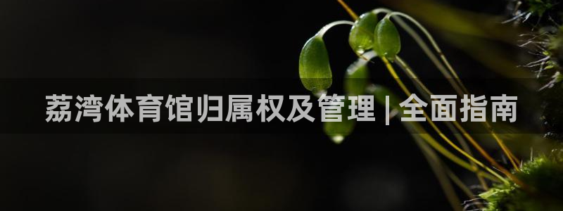 必一体育旧版：荔湾体