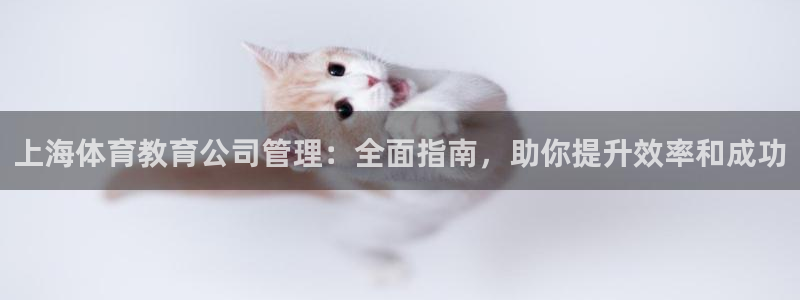 必一体育app官方下