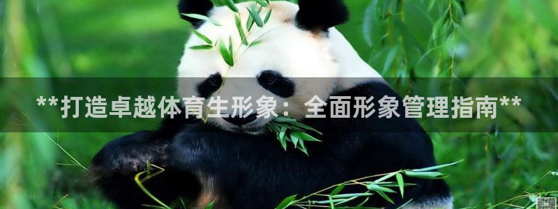 必一运动官网入口：*