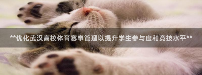必一体育合法吗：**