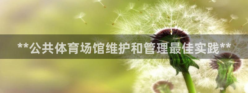 必一运动·(b-sp