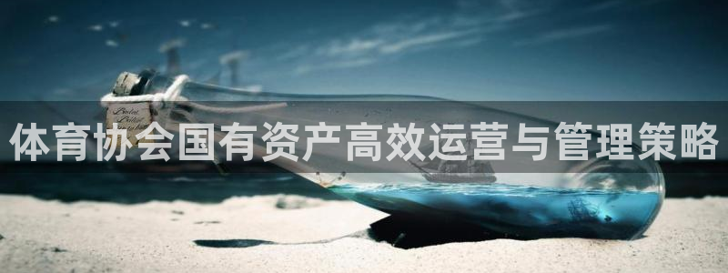 体育协会国有资产高效
