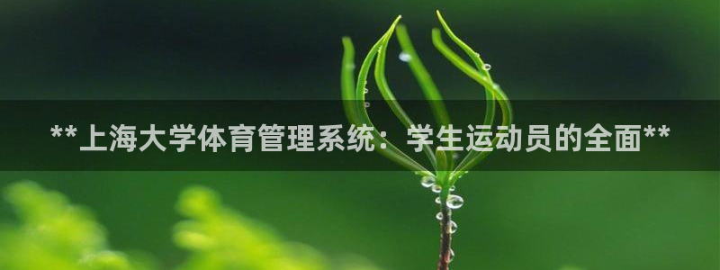 必一体育在线玩：**