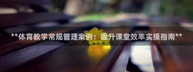 必一体育app官方下