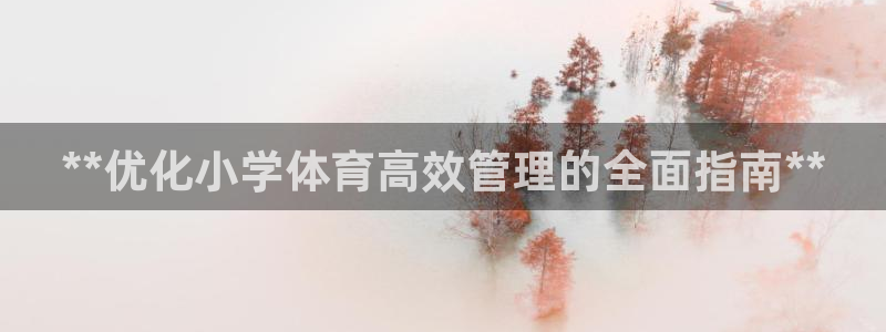 必一体育怎么下载：*