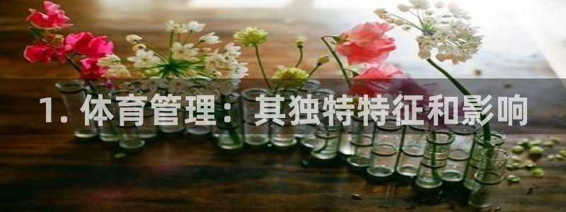 必一体育sport下