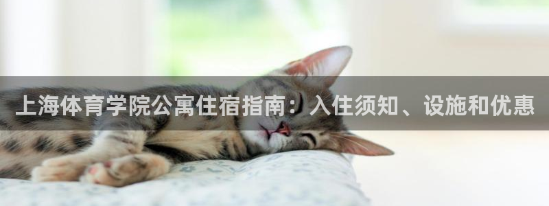 必一体育黑平台：上海